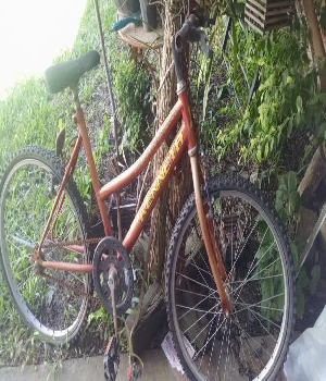 Imagen de bicicleta deterioro en ruedas numero 0