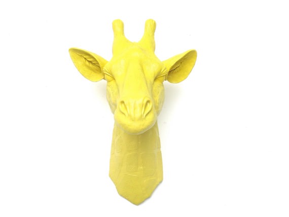 Imagen de Cabezas animales decoración numero 2