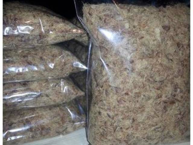 Imagen de Carne Seca de Res numero 0