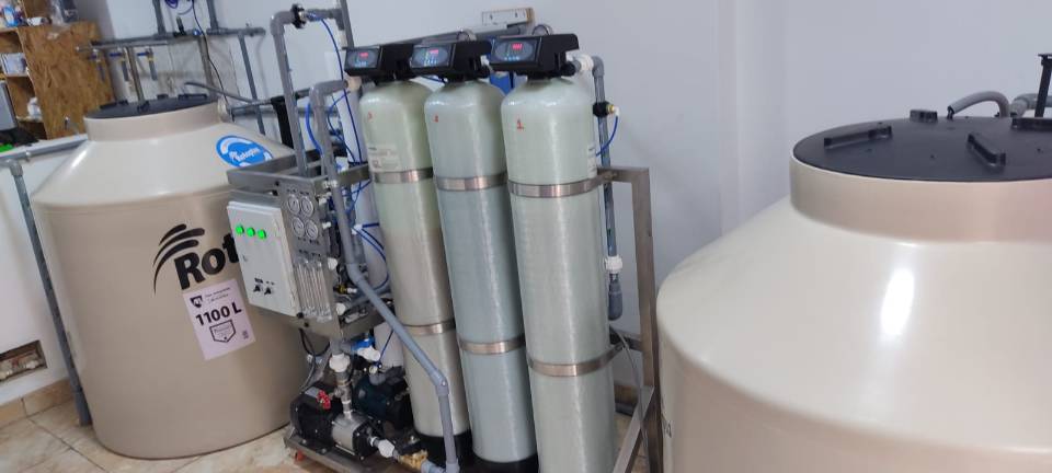 Imagen de EN OFERTA PLANTAS PURIFICADORAS numero 1