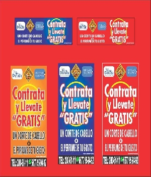 Imagen de Escuela de manejo "Autoescuela Culiacan" numero 0