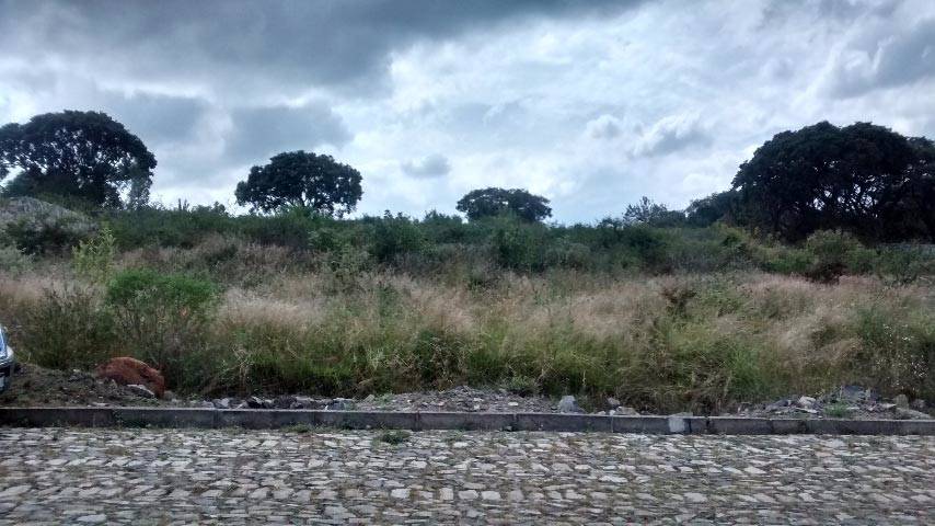 Imagen de Excelente terreno en el municipio de Tlajomulco de Zuñiga numero 1