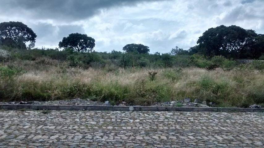 Imagen de Excelente terreno en el municipio de Tlajomulco de Zuñiga numero 2