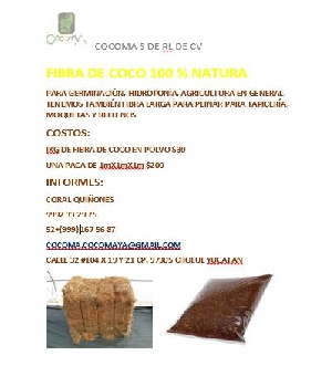 Imagen de Fibra de coco numero 0