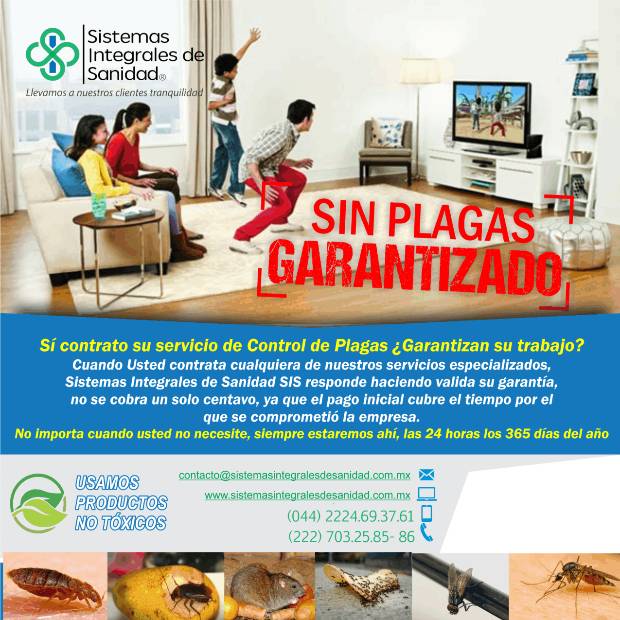 Imagen de Fumigaciones en Puebla numero 0