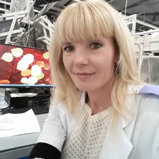 Imagen de Informe de crédito recibido en: angelemaurin16@gmail.com numero 0