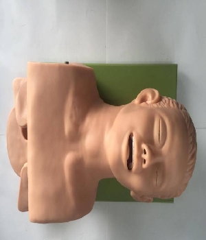 Imagen de Maniquà de Entrenamiento para Intubación Electrónico numero 0