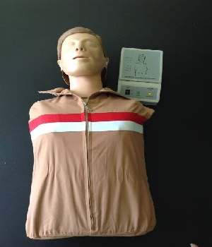 Imagen de Maniquí de Entrenamiento para RCP Adulto Medio Torso Electró numero 0