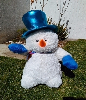 Imagen de Mono de nieve grande 65 cms numero 0