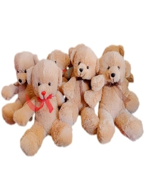 Imagen de Ositos de peluche para baby shower o bautizo 30 cms contando patas numero 0