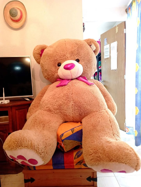 Imagen de Oso de peluche mega jumbo color café REACONDICIONADO SEMINUEVO numero 0