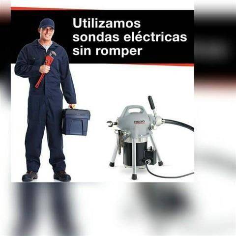 Imagen de PLOMEROS EN LA COLINA CAMPESTRE 3147535146 numero 0