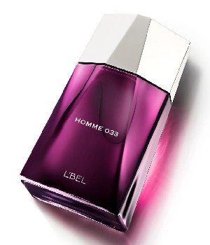 Imagen de Perfume Homme 033 para hombre 100 ml numero 0