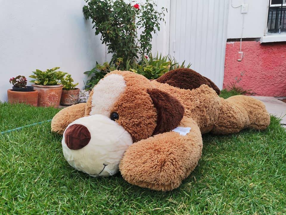 Imagen de Perro de peluche gigante largo numero 1
