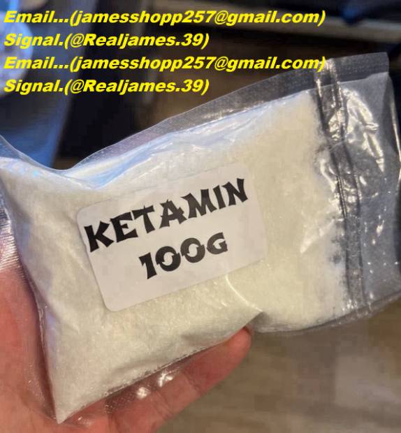Imagen de Travel documents, Nembutal and other meds etc available numero 0