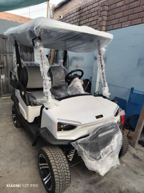 Imagen de VENDEMOS CARROS DE GOLF numero 0