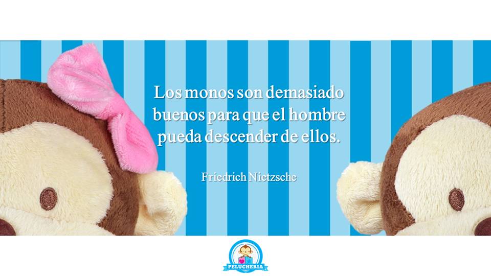 Imagen de Changos de peluche Miko y Mika (c/u) numero 1